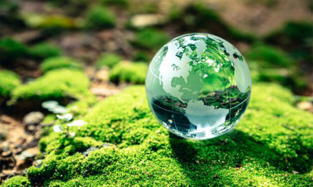 Álamo: Día del Medio Ambiente 2023