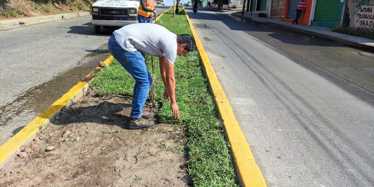 Con trabajo permanente, cambia la imagen de Martínez de la Torre