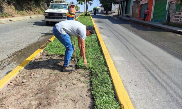 Con trabajo permanente, cambia la imagen de Martínez de la Torre
