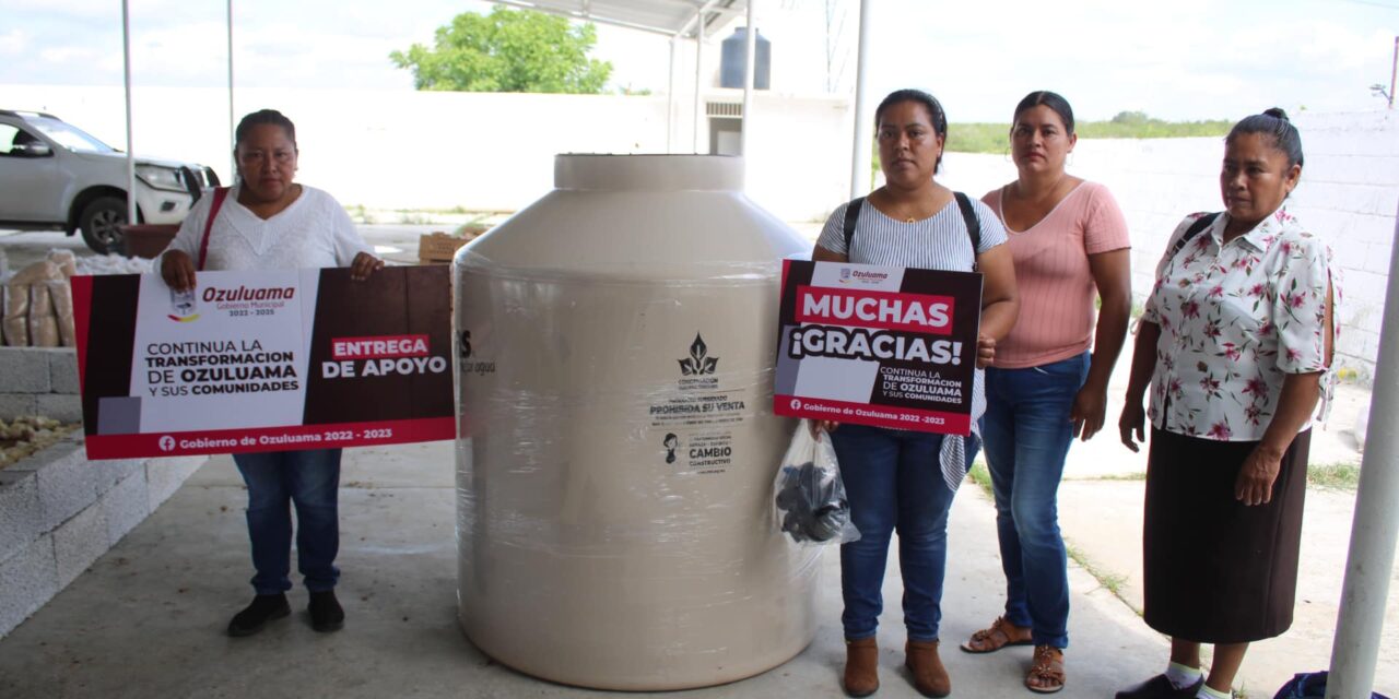 Ozuluama: Más apoyos entregados a Horconcitos