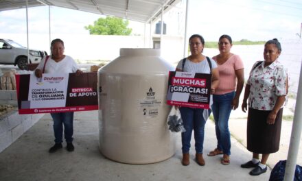 Ozuluama: Más apoyos entregados a Horconcitos