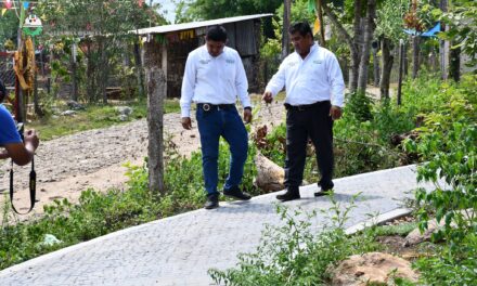 Citlaltépetl: Supervisión de espacio público para el disfrute de todas y todos