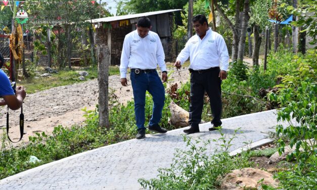 Citlaltépetl: Supervisión de espacio público para el disfrute de todas y todos