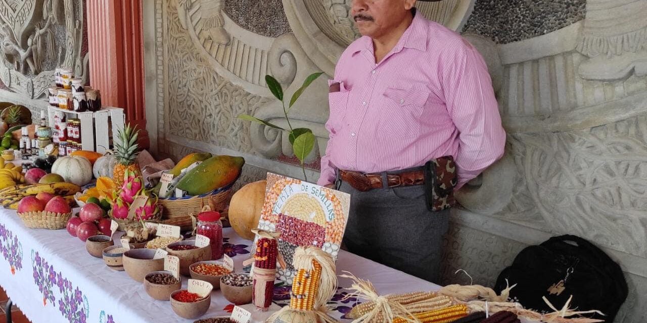 Cultivos innovadores y especies rescatadas en la próxima feria del sembrador 2023 en Coatzintla