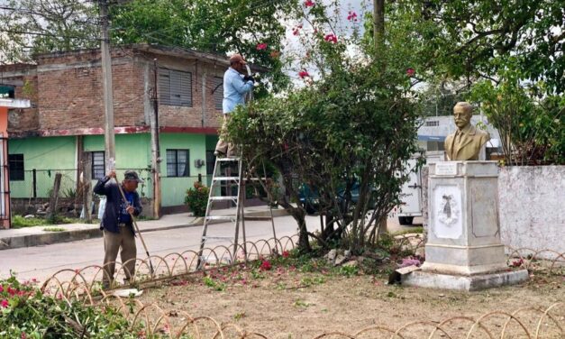 Pánuco: Limpieza de áreas verdes en la cabecera municipal a través de la Dirección de Servicios Básicos y Públicos