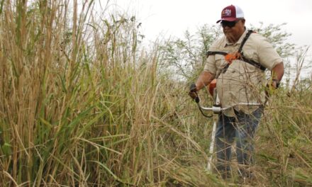Tantima: Celebramos con mucho entusiasmo el Día del ingeniero