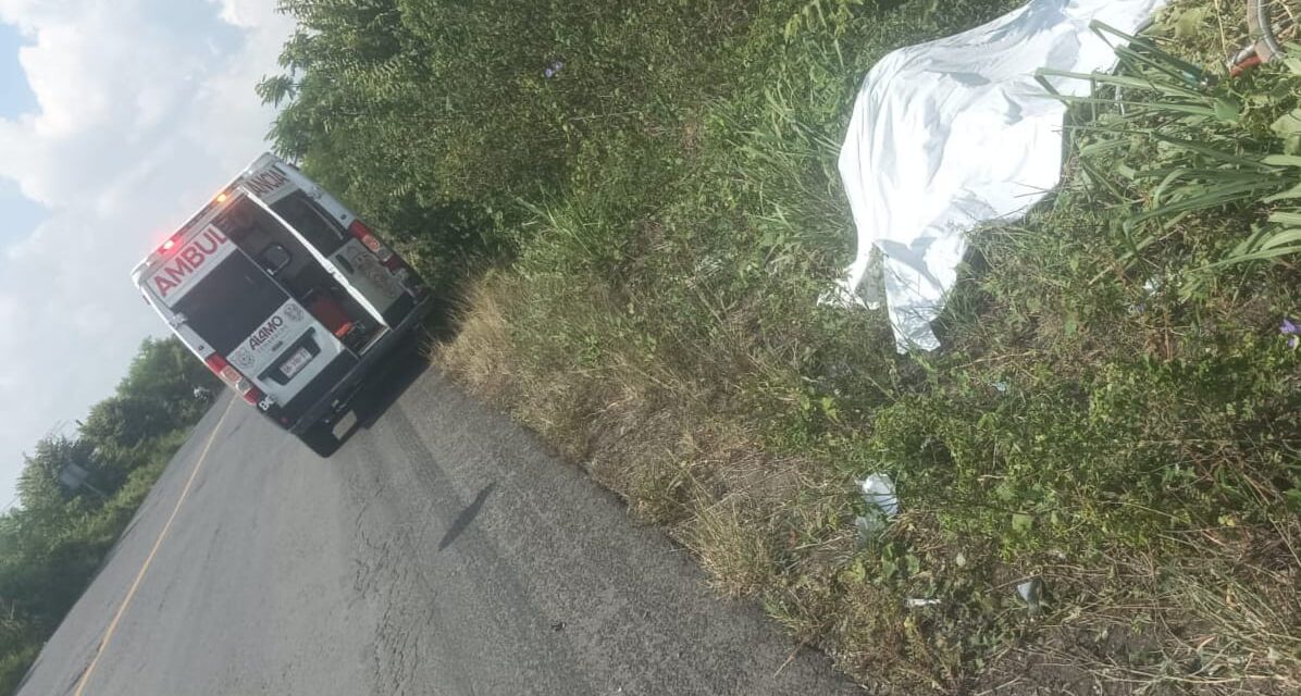 Álamo: Atropellan al «CHINO» y muere