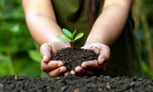 Cerro Azul: Día Internacional de la Conservación del Suelo 2023