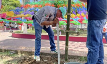 ¡Prepárate para la Fiesta del Chul Ozuluama 2023 con su espectacular decoración!