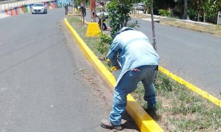 ¡Embellecimiento del Boulevard Sara García Iglesias en preparación para la Fiesta del Chul Ozuluama 2023!