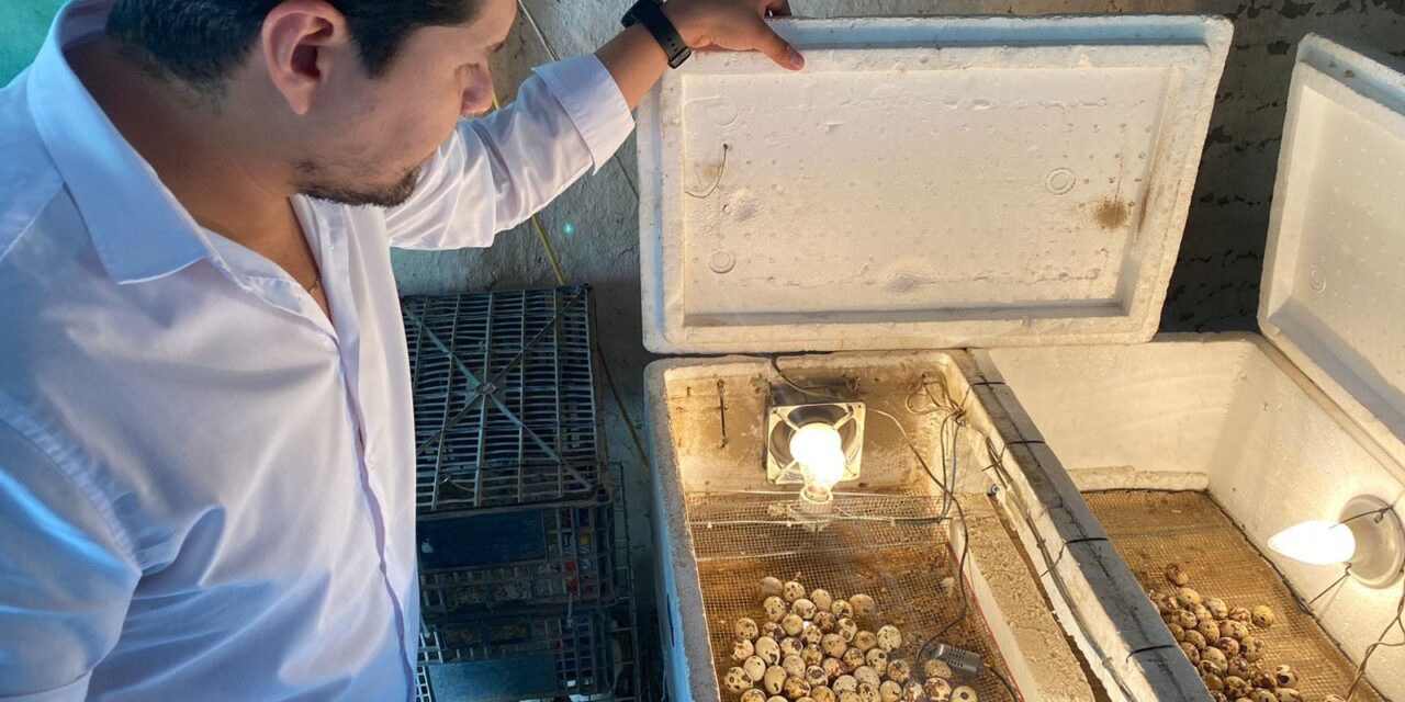 Municipio de Pánuco respalda proyectos con registro de marca y diseño corporativo