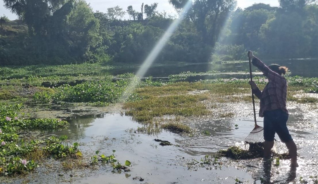 Platón Sánchez: Jornada de limpieza en el Río Calabozo para proteger este recurso vital