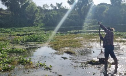 Platón Sánchez: Jornada de limpieza en el Río Calabozo para proteger este recurso vital