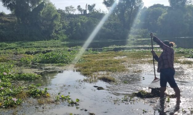 Platón Sánchez: Jornada de limpieza en el Río Calabozo para proteger este recurso vital