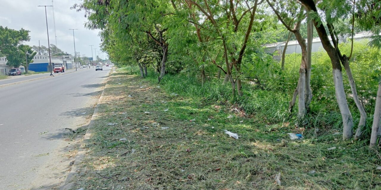 Pánuco: Continúan las Labores de Mantenimiento y Mejoramiento Urbano en el Moralillo