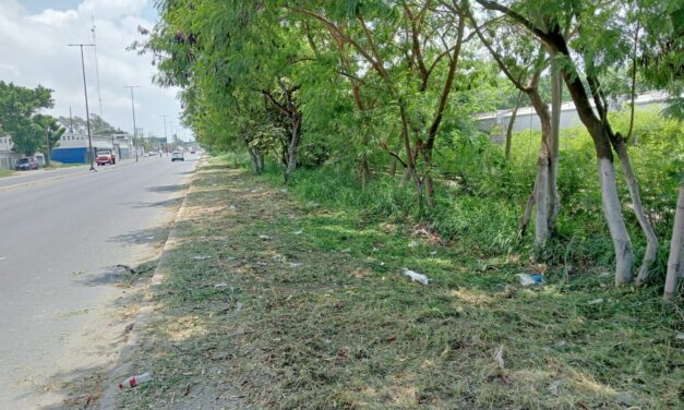 Pánuco: Continúan las Labores de Mantenimiento y Mejoramiento Urbano en el Moralillo