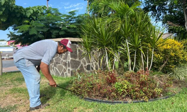 Pánuco: Mejoramiento urbano en el Parque Desiderio Pavón