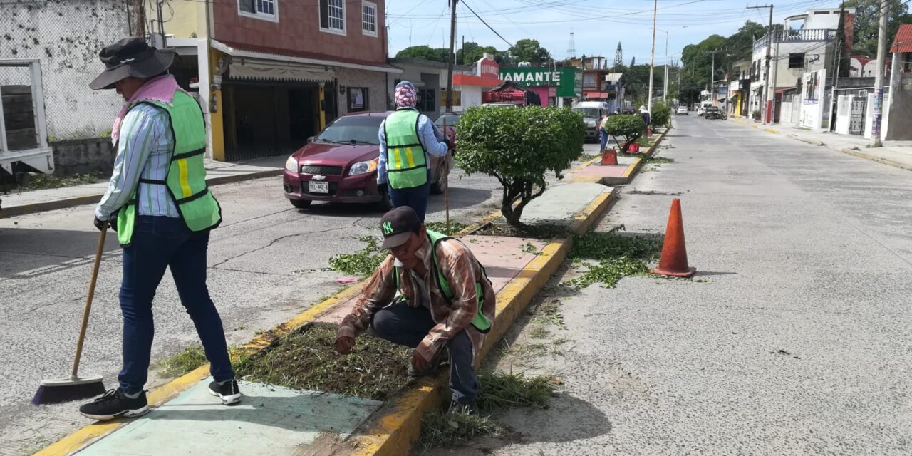 Cerro Azul: Mejoras en áreas verdes públicas y calles principales para el disfrute de la comunidad