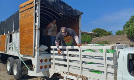 Apoyo a la Producción Agropecuaria en Comunidades de Gutiérrez Zamora