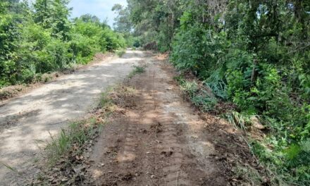 Ozuluama: Inicio de Trabajos de Rehabilitación en la Vía Corta Poza del Tule a Los Zavales