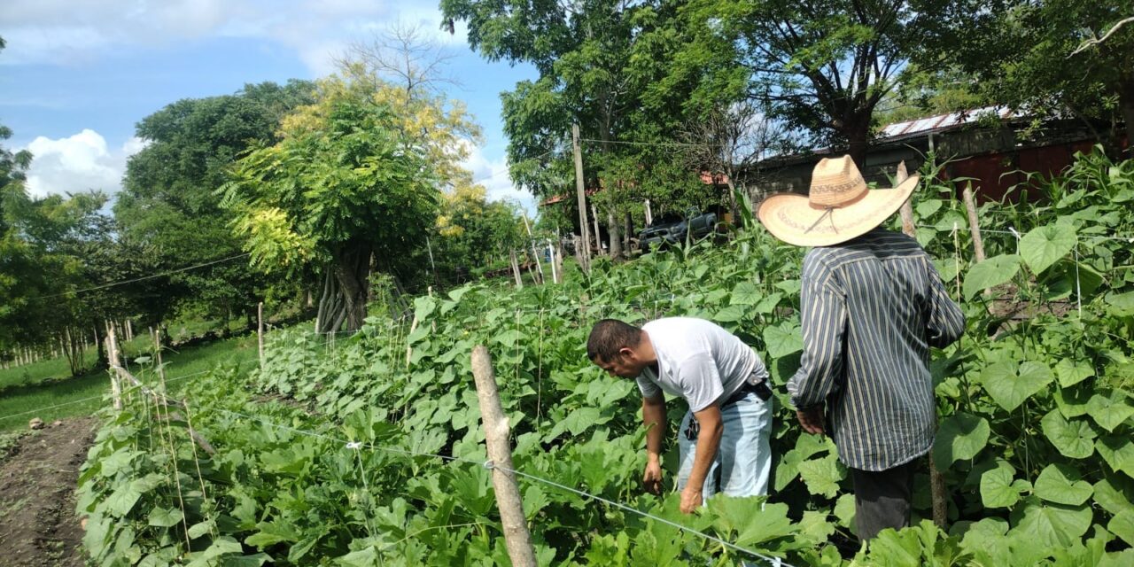 Ayuntamiento de Chinampa de Gorostiza Impulsa Programa de Desarrollo Agropecuario en Escuela Campesina de Mata dé Tampico