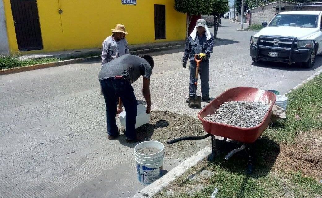 Recuperación de Espacios Públicos en Martínez de la Torre: Compromiso Municipal en Acción
