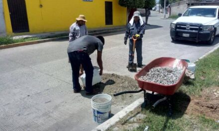 Recuperación de Espacios Públicos en Martínez de la Torre: Compromiso Municipal en Acción
