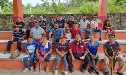 Presidente Municipal de Coatzintla, lidera la limpieza de área clave para proyecto social en Escolín de Olarte