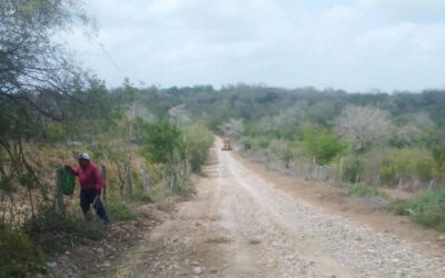 Tempoal: Transformación Continua en el Municipio bajo la Administración de Néstor Rodolfo Rivera Pérez