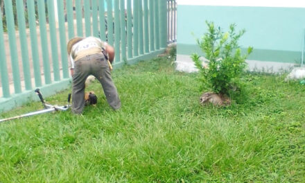 Ozuluama: Trabajos de Mejora en las Áreas Verdes del Hospital de la Cabecera Municipal