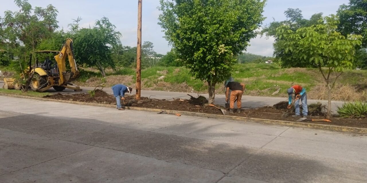Coatzintla: Limpian camellón central, cunetas, drenes y canales pluviales en fraccionamiento “Kawatzin”