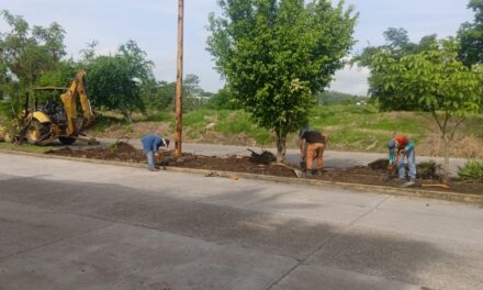 Coatzintla: Limpian camellón central, cunetas, drenes y canales pluviales en fraccionamiento “Kawatzin”