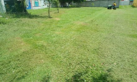 Continúa la limpieza de campos deportivos en Coatzintla