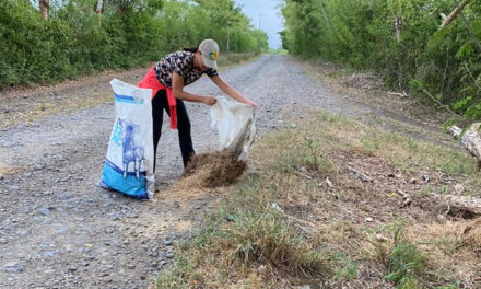 Ozuluama: Limpieza y Mantenimiento de Áreas Verdes y Camino en la Congregación Tamontao