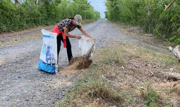 Ozuluama: Limpieza y Mantenimiento de Áreas Verdes y Camino en la Congregación Tamontao