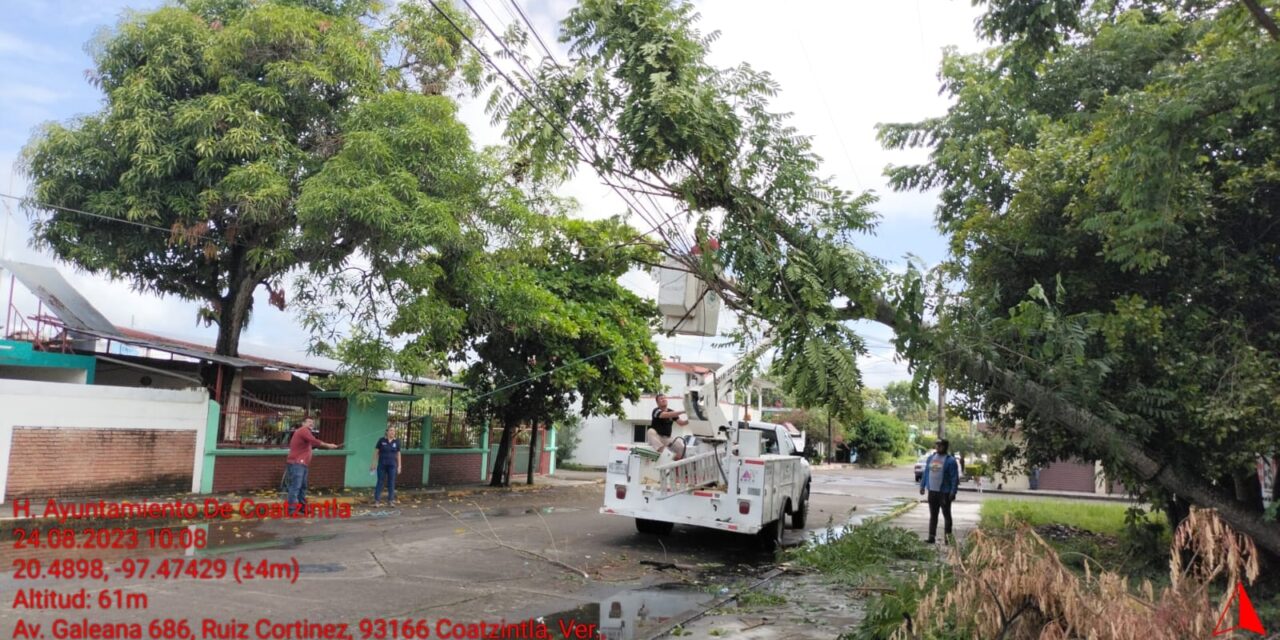 Coatzintla: El ayuntamiento derrama riesgoso árbol en la calle galeana de esta cabecera