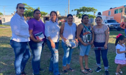 Ozuluama: Día Violeta en Fraccionamiento Mascareñas