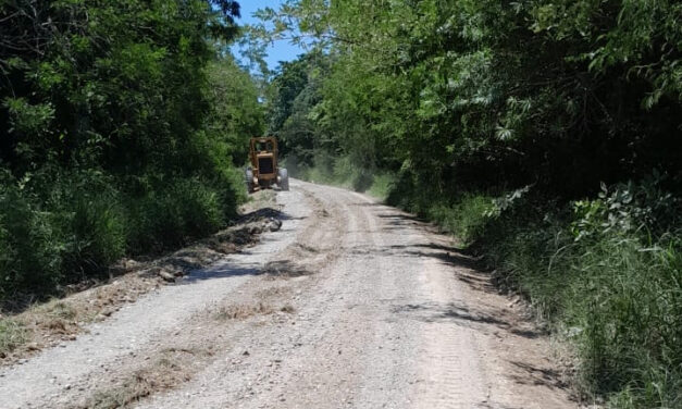 Inician Trabajos de Rehabilitación de Vía de Comunicación en Ozuluama de Mascareñas