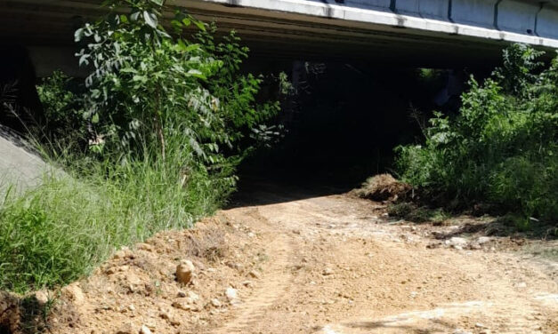 Ozuluama: Rehabilitación de Vía de Comunicación entre El Porvenir y Horconcitos para Garantizar la Seguridad