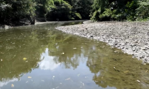 Ozuluama: Alcalde y Equipo Monitorean Niveles de Agua en Río Terrero