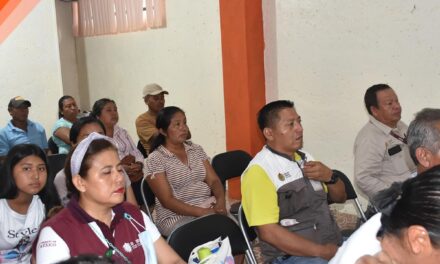 Tepetzintla: Platica informativa acerca del Dengue y el Paludismo dirigida hacia los Agentes y sub Agentes Municipales