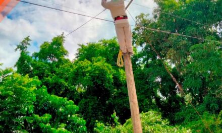 Tepetzintla: mantenimiento de las lámparas en la cabecera municipal