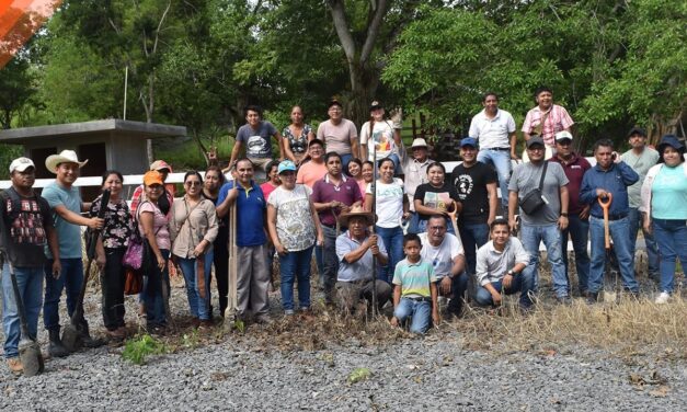 H. AYUNTAMIENTO DE TEPETZINTLA REALIZA LA PRIMERA CAMPAÑA DE REFORESTACIÓN