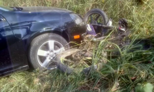 Álamo: Atropellan a «La Huevina»