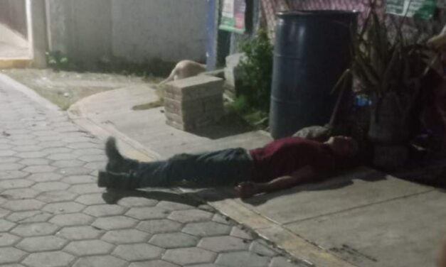 Álamo: ¡Qué bonita familia!