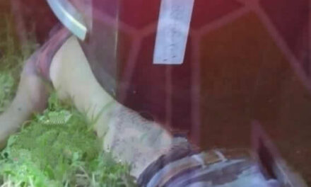 Álamo: Vuelco de Camioneta Deja una Víctima Fatal Aplastada