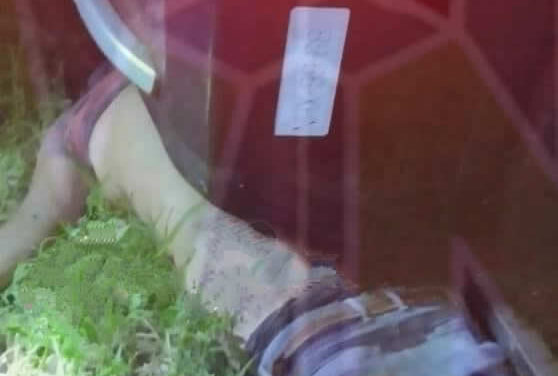 Álamo: Vuelco de Camioneta Deja una Víctima Fatal Aplastada