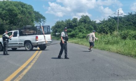 Heridos en la Carretera Álamo-Potrero