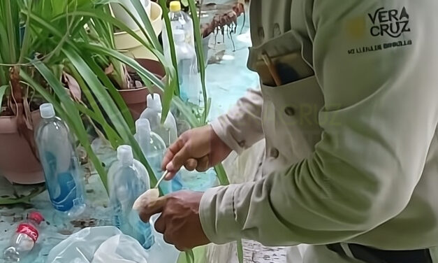 Alerta por Dengue: Acciones de Prevención en Álamo, Veracruz