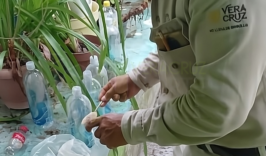Alerta por Dengue: Acciones de Prevención en Álamo, Veracruz